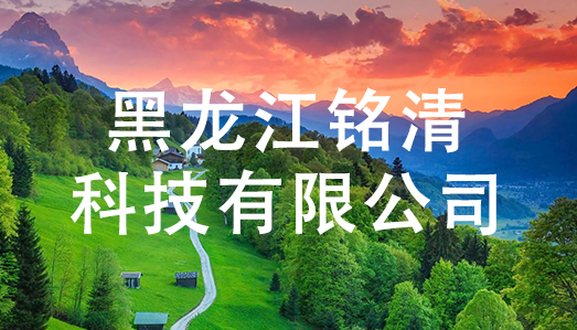 成都网站建设